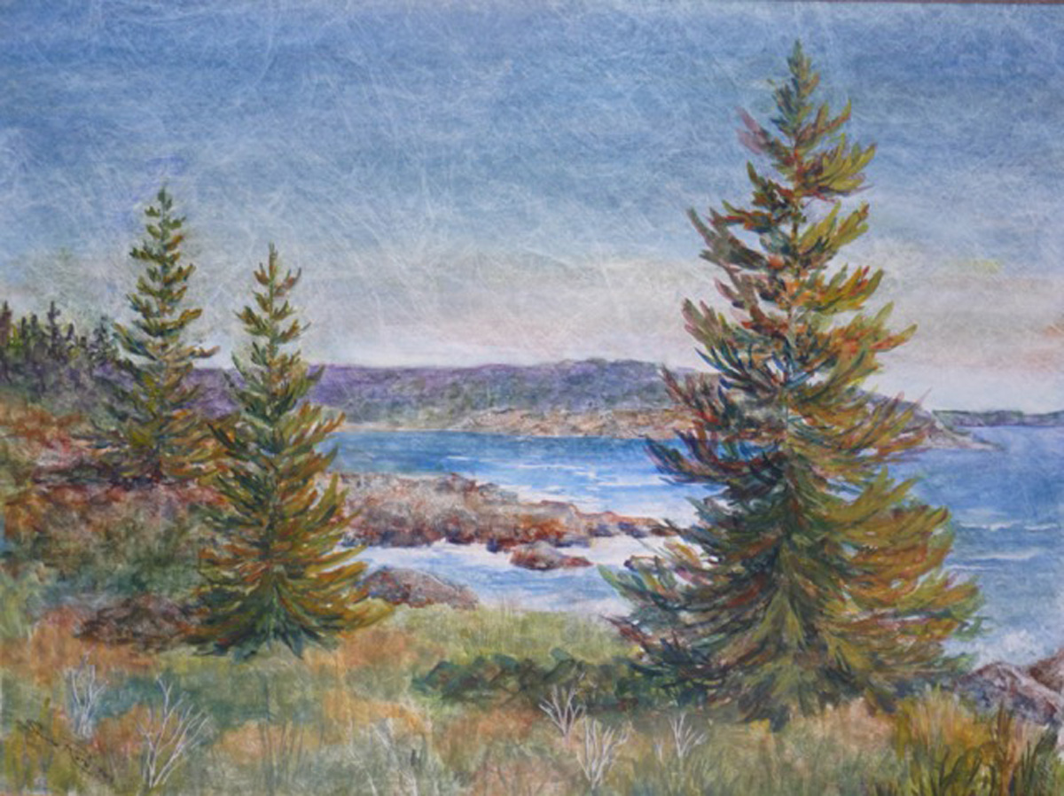 Bar Harbor Trees Image